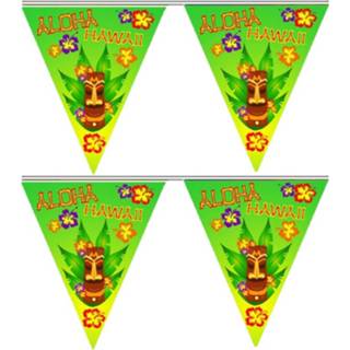 👉 Vlaggenlijn 2x Stuks Hawaii Thema Party Van 5 Meter - Vlaggenlijnen 8720576545539