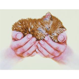 👉 Diamond Dotz Precious Kitten Painting, 4.888 Dotz, 52x40 Cm 4897073243603