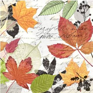 👉 Servet wit papier Duni Servetten Herbarium 3-laags 33 X Cm 20 Stuks 4037698162778