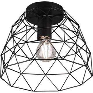 Plafondlamp zwart Trio Leuchten Haval Draadlamp Geometrisch 4017807451870