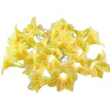 👉 Bloemenslinger geel kunststof active Lichtslinger/bloemenslinger met Lotus bloemen 600 cm