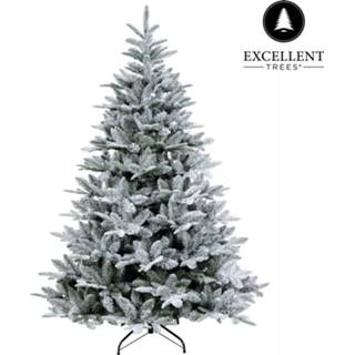👉 Kerstboom Excellent Trees® Otta 150 Cm - Luxe Uitvoering 8719323084810