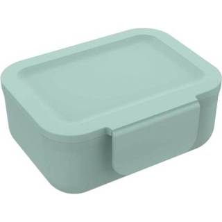 👉 Tgroen kunststof One Size Color-Groen Lunch Buddies koekendoos Nordic 11,7 x 9,8 cm mintgroen 5420065981710