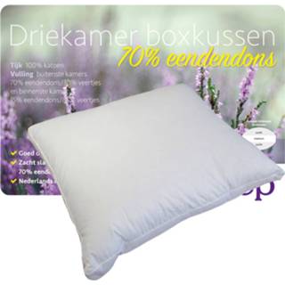 👉 Boxkussen Isleep 3-kamer Donzen 7434043529595