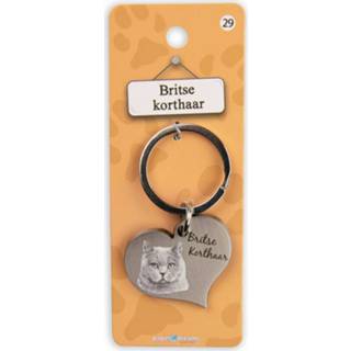 👉 Sleutelhanger staal zilver Paper Dreams Britse Korthaar 5 Cm 8716764176340