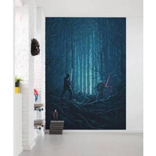 👉 Blauw Komar wandfoto Star Wars Wood Fight 4055065410031