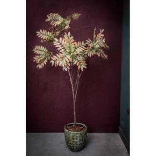 👉 Kunstplant groen paars One Size Johannes Broodboom 147 x 88 210 cm Groen/paars 8720014250612