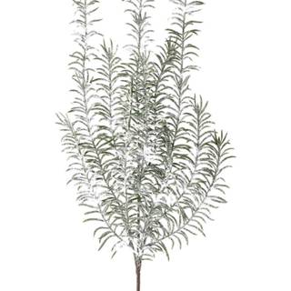 👉 Groen One Size Leaves Plant Asparagus Kunsttak 59 x 23 74 cm Besneeuwd 8720014248909