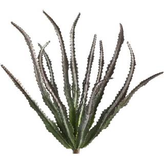 👉 Kunstplant groen One Size Succulent Haworthiastruik 18 x 11 27 cm 8720014190550