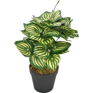 👉 Kunst plant GeenKleur One Size groen Kunstplant met pot watermeloenplant 45 cm 8719883553610