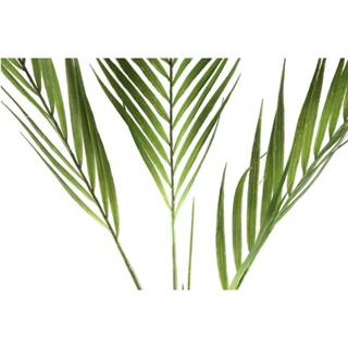 👉 Groen One Size Leaves Plant Palm Kunsttak 65 x 47 100 cm 8720014189684