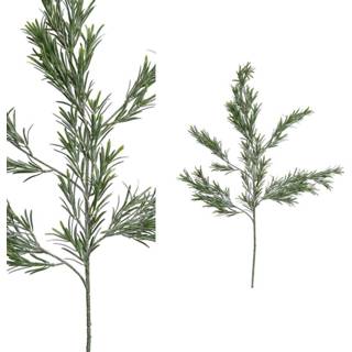 👉 Groen One Size Twig Plant Podocarpus Kunsttak 53 x 21 97 cm 8720014189806