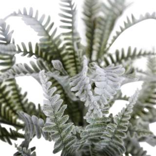 👉 Groen One Size Fern Plant Gevlokte Varen Kunststruik 21 x 26 cm 8720014211194