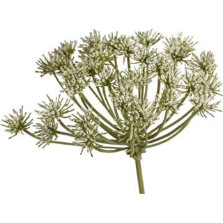 👉 Kunstbloem groen One Size Garden Bloem Queen Anne's 12 x 75 cm 8720014117984