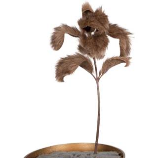 👉 Lams oor bruin One Size Leaves Plant Lamsoor Kunsttak 20 x 24 40 cm Donker 8720014499219