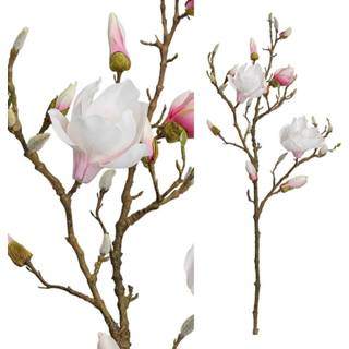 👉 Roze One Size Magnolia Bloem Kunsttak 53 x 20 99 cm Licht 8720014190376
