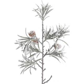 👉 Kunstplant grijs wit kunststof One Size groen Twig tak met dennenappels L27 x B18 H50 cm. 8720014248879