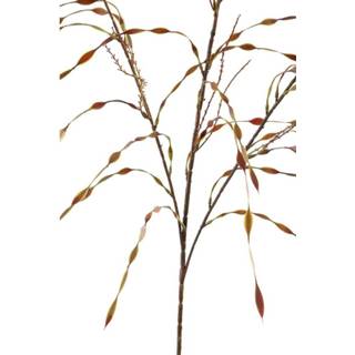 👉 Bruin One Size Leaves Plant Willaag Kunsttak 66 x 56 102 cm 8720014250520