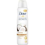 👉 Deodorant active 6x Dove Coconut&Jasmine Flower 150 ml 8720181176944