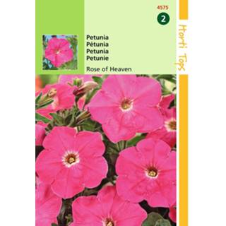 👉 One Size roze 2 stuks Petunia Hybr.Nana Comp. Hemelroosje 8719269081911