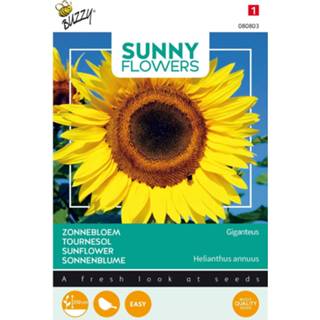 Maart volle zon juli Sunny Flowers - Gigant