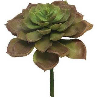 👉 Vetplant roze One Size Kunst Echeveria 17 cm - 8505453144377