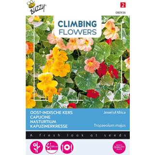 👉 One Size GeenKleur 3 stuks Flowering climbers tropaeolum jewel of africa 8719269385163