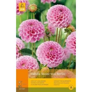 👉 Dahlia One Size roze 2 stuks 1 Stolze Von Berlin 8719269099268