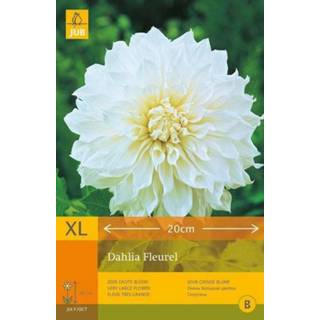 👉 Dahlia One Size wit 2 stuks 1 Fleurel 8719269098988