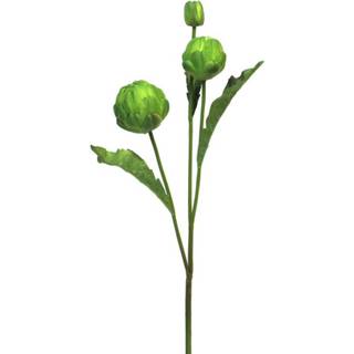 👉 Donkergroen One Size GeenKleur Artichoke x2 79cm green 8505453159418