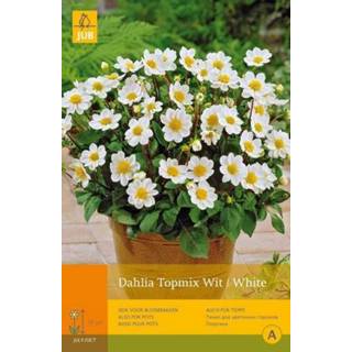 👉 Dahlia One Size wit 2 stuks 1 Topmiwit 8719269099336