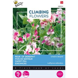 👉 One Size GeenKleur 3 stuks Flowering climbers lathyrus unwin's striped 8719269450908