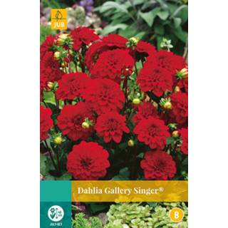 👉 Dahlia One Size rood 2 stuks Gallery Singer 1 bol 8719269563493