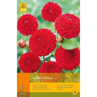 👉 Dahlia One Size rood 2 stuks 1 Nescio 8719269099237