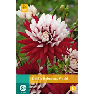 👉 Dahlia One Size rood 2 stuks Rebecca S World 1 bol 8719269563639