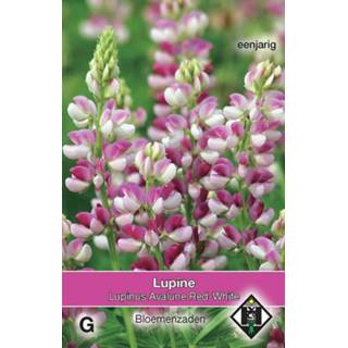 👉 Rood wit One Size roze 5 stuks Lupinus hartwegii Avalune Red-White 8719269370824