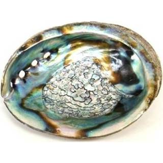 👉 Abalone schelp One Size meerkleurig voor smudgen met salie - Fair Trade Huis reinigen Reinigingsrituelen Geesten verdrijven geuren 8718503730660