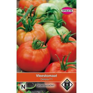👉 One Size GeenKleur 2 stuks Van Hemert & Co Vleesttomaat Delizia F1 8719269105167