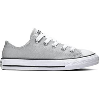 Converse All stars chuck taylor 666896c zilver / diamant