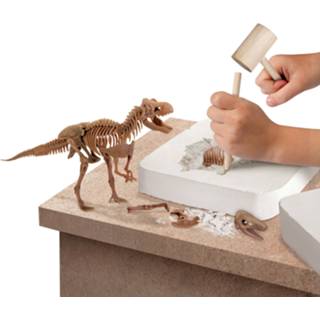 👉 Dinosaurus One Size GeenKleur Discovery Mindblow - opgraven – 3D puzzel graafset archeologie 4894088052862