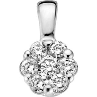 👉 Blush diamonds hanger met 0.11ct diamant