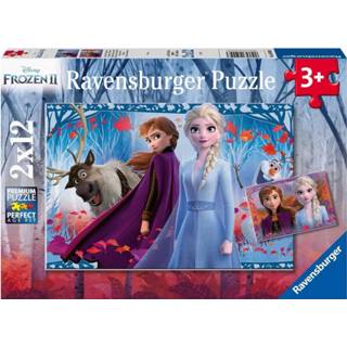 👉 Puzzel One Size meerkleurig Ravensburger Disney Frozen 2 - 2x 12 stukjes 4005556050093