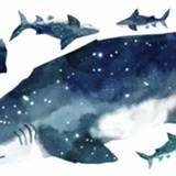 👉 Muursticker vinyl XL One Size Color-Blauw RoomMates muurstickers Shark 6 stuks 34878739564