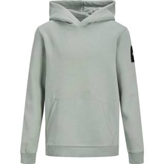 👉 Polyester male groen Jack & Jones Jcoclassic sweat hood ln jr 5715113025127