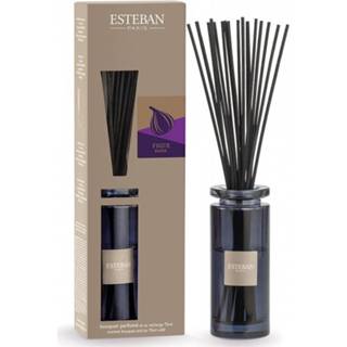 👉 Geurstokje active Esteban Figue Noire Geurstokjes Initial met 75ml navulling 3660963074592