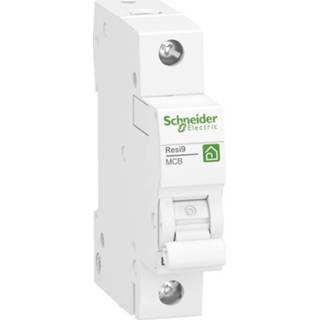 Schneider Electric R9F23120 Zekeringautomaat 1-fasig 20 A 230 V 3606489590109