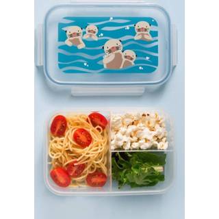 👉 Lunchbox baby's SugarBooger bento baby otter 732389035921
