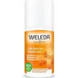 Deodorant Weleda Duindoorn 24h roll-on 50ml 4001638502399