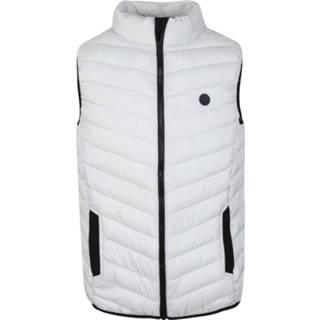 👉 Bodywarmer m effen zilver male polyester Suitable 8720008903807 2900059408025