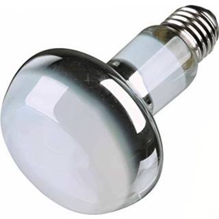 👉 Warmtelamp glas zilver One Size Color-Zilver Trixie Reptiland led 100 watt E27 4011905760032